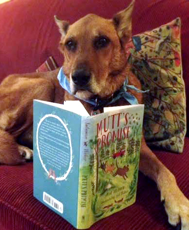 The author's dog, Maggie, enjoying her copy of Mutt's Promise!