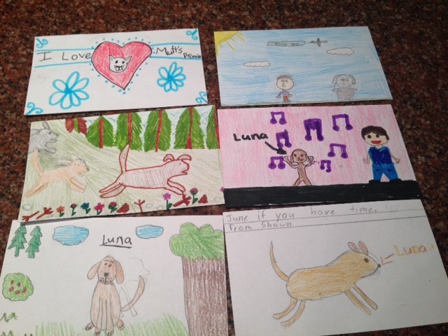 Holly  Elementary, BC Canada children drawings